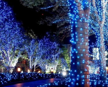 哈尔滨夜景照明工程：点亮城市的温暖